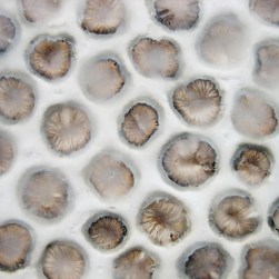 20160201_MarianWEB_small10