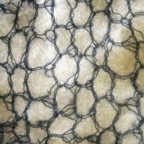 20160201_MarianWEB_small15