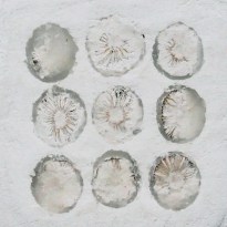 20160201_MarianWEB_small25