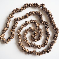 20160201_MarianWEB_small27