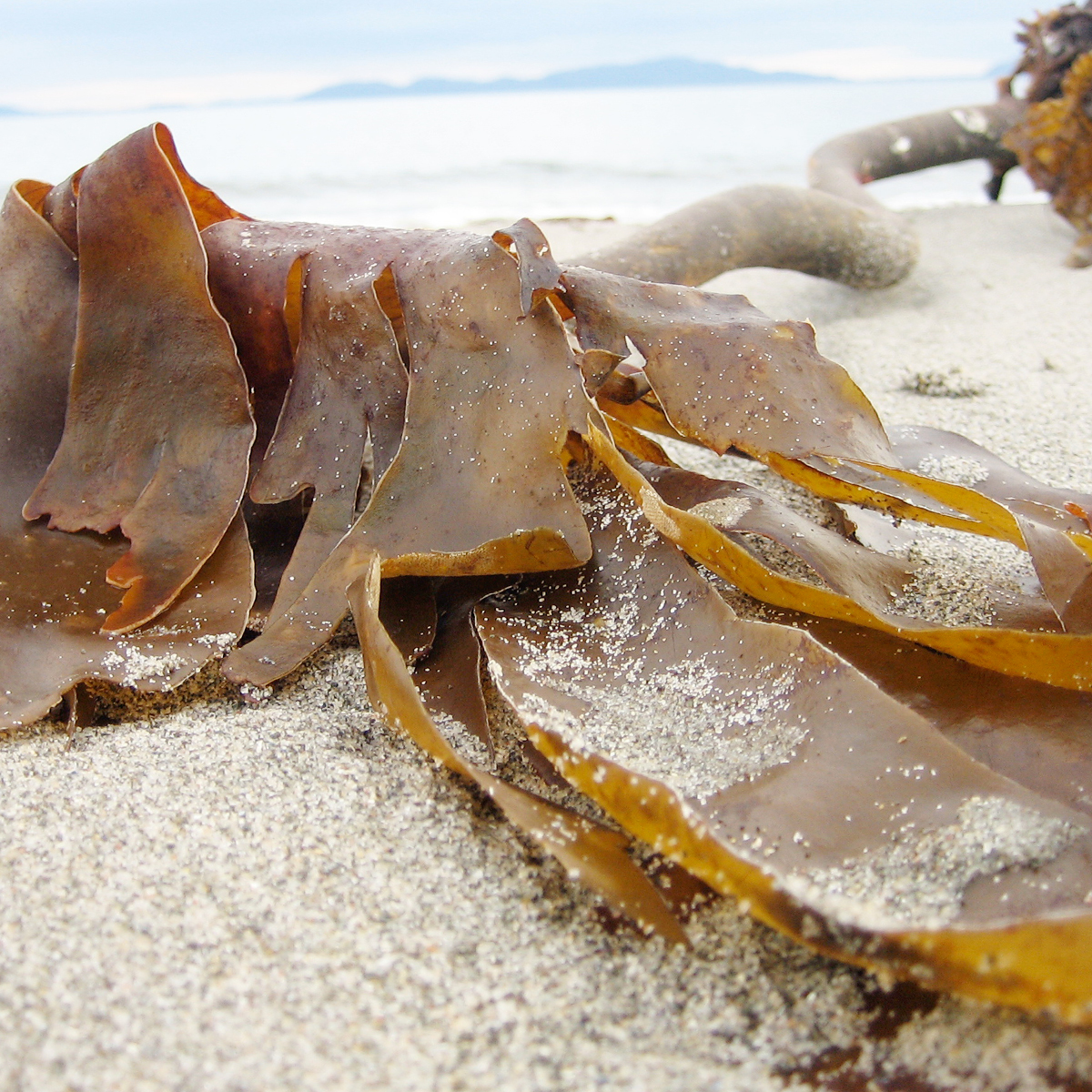 20160201_MarianWEB_small3