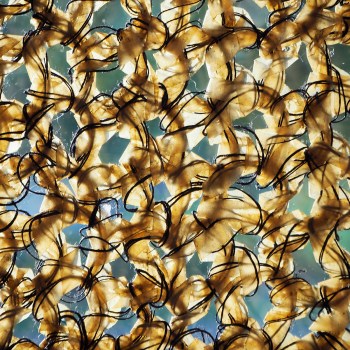 20160201_MarianWEB_small36