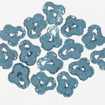 20160201_MarianWEB_small38