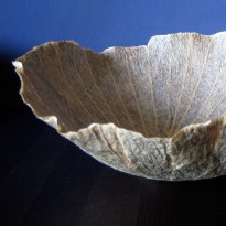 20160201_MarianWEB_small7